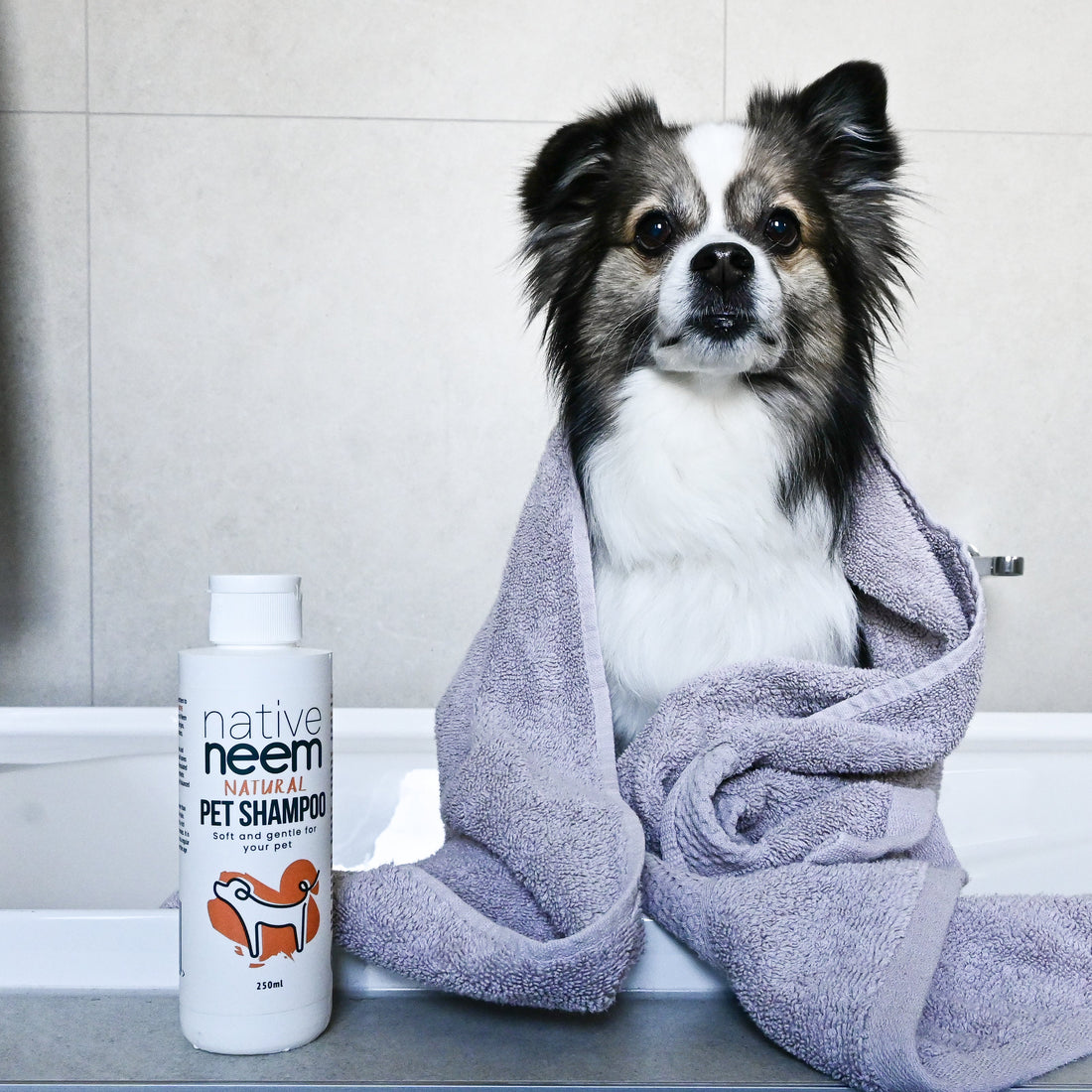 dog with native neem pet shampoo