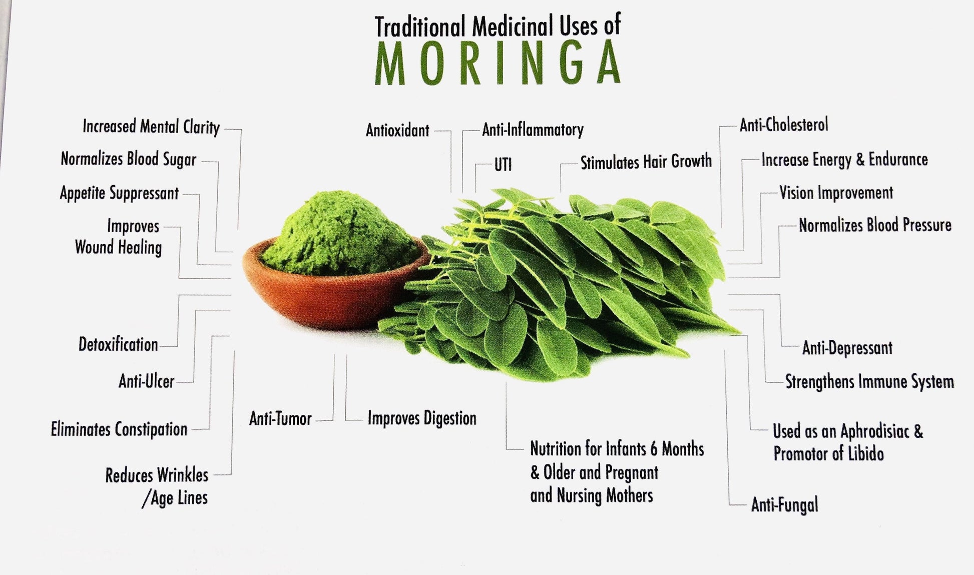 Organic Moringa Leaf Powder 250g - Green Trading