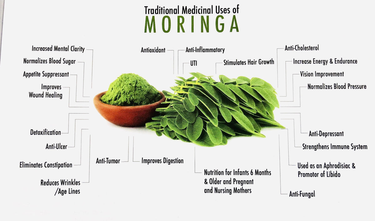Buy Moringa Powder NZ – Organic Superfood | Green Trading